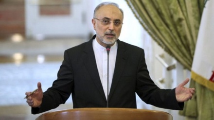 סאלחי: היקף האורניום המועשר ב -20% הגיע ל- 50 ק