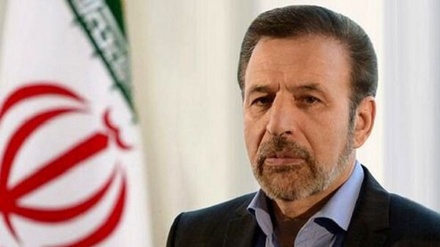 瓦诶兹：土耳其始终是伊朗的重要邻国