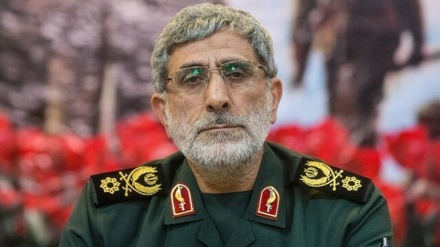 فرمانده نیروی قدس سپاه پاسداران انقلاب اسلامی روز ارتش را تبریک گفت
