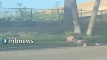 (VIDEO)  Ancora violenza contro i neri americani