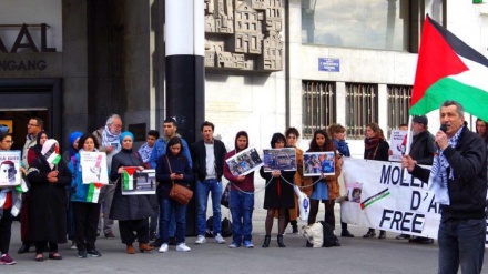 Tubim në kryeqytetin belg në shenjë solidariteti me të burgosurit palestinezë