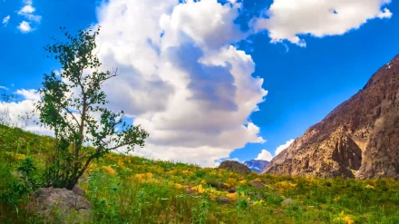 Le lac Kouh Gol dans la province de Kohguiluyeh et BoyerAhmad