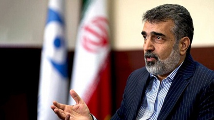 イラン原子力庁報道官、「敵のテロ行為は、わが国の核産業を霍乱できない」