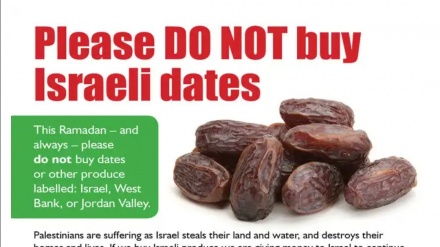 İngiltere'de İsrail hurmalarına boykot kampanyası 
