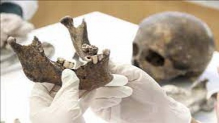 Usa, bufera su due atenei: usano ossa di bimbi afroamericani per le lezioni senza il consenso dei familiari