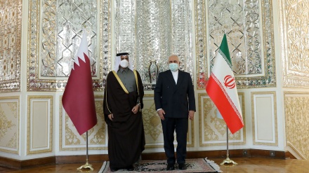 扎里夫和卡塔尔外交大臣就扩大德黑兰与多哈双边关系进行磋商