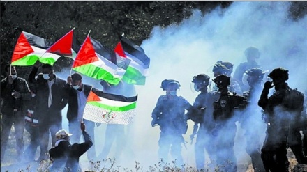 パレスチナ抵抗組織ハマスが、人権NGOの対イスラエル報告を歓迎