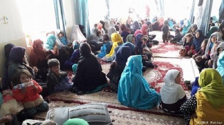 آوارگی صدها تن از ساکنان ولایت غزنی 