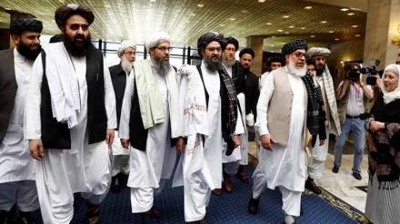 طالبان: با حضور نیروهای خارجی در افغانستان در هیچ کنفرانسی شرکت نمی کنیم