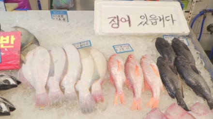 韓国が、日本の処理水海洋放出方針決定に「容認できない措置」