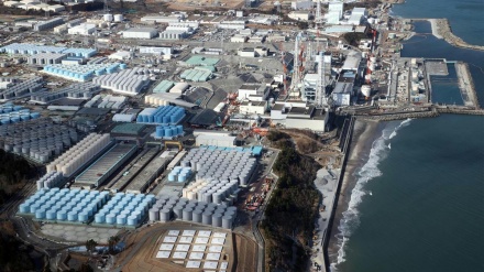 国際環境NGO日本支部が政府を批判、「処理水放出で人権を無視」