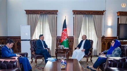 阿特马尔会见世界卫生组织驻阿富汗的新代表