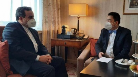 阿拉格奇在维也纳与中国代表团团长会晤
