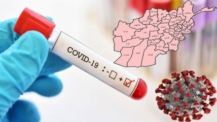 کرونا در افغانستان؛ شناسایی 23مبتلای جدید و فوت 2 نفر 