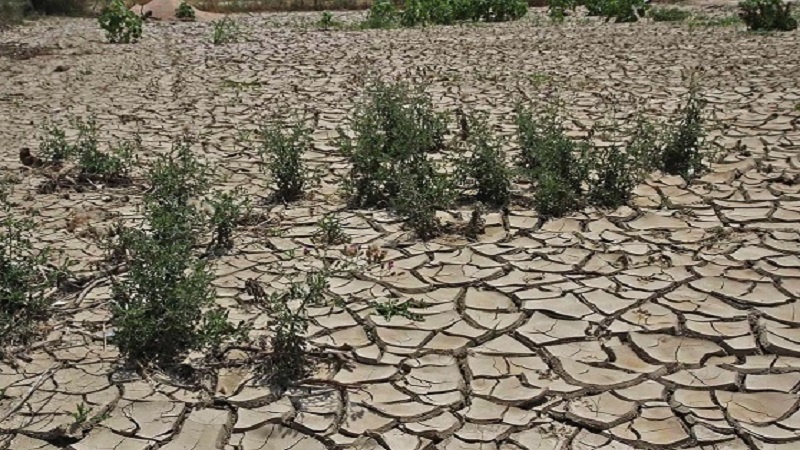 کمبود آب و زمین؛ مانع توسعه بخش کشاورزی افغانستان