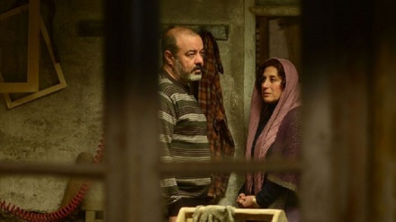 伊朗电影《非洲堇菜》将竞选美国电影节