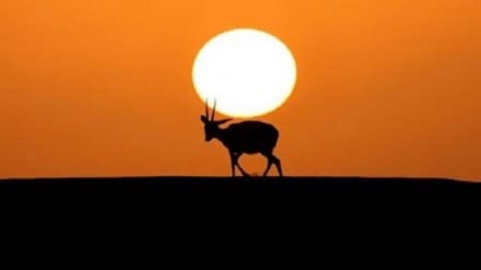 (FOTO DEL GIORNO) No comment