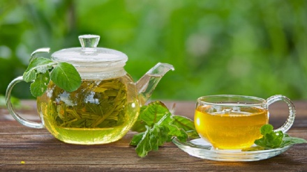 فواید چای سبز در بهبود کرونا