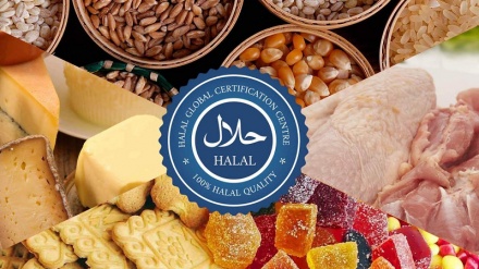 گزارش: نشان حلال، فرصتی برای توسعه تجارت
