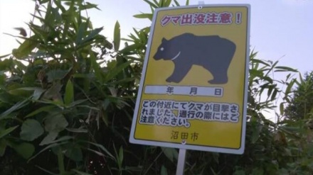 2020年度のクマ出没、2万件超で過去最多に