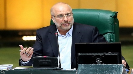 Boosting economy, foiling sanctions Parliament’s top priorities: Iranian speaker