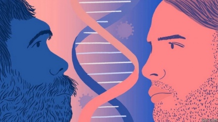 ДНК неандертальцев влияет на уязвимость к Сovid-19