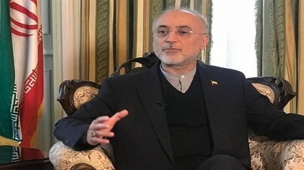 Iran says exporting radiopharmaceuticals to Europe, India