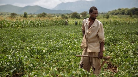 Rwanda: Nchi za Afrika zitumie teknolojia kuimarisha sekta ya kilimo