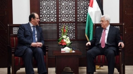 ראש המודיעין הכללי המצרי נפגש עם אבו מאזן ברמאללה