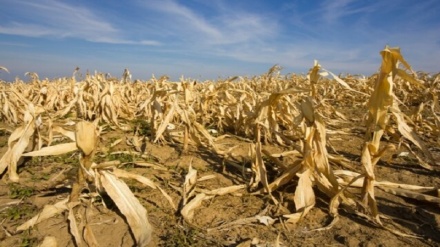 Third of global food production at risk from climate crisis