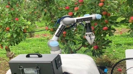 دغه روبوټ په اوو ثانیو کښې میوې ښکوي 