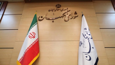 Роль исполнительных и наблюдательных органов на выборах в Иране