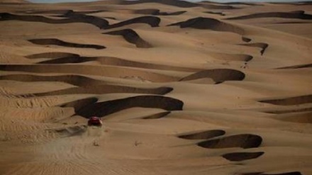 (FOTO DEL GIORNO) No comment