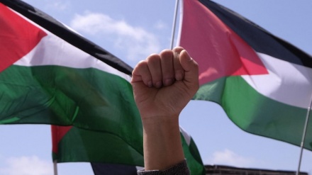 From north to south, Palestinians are fighting to reclaim their voice