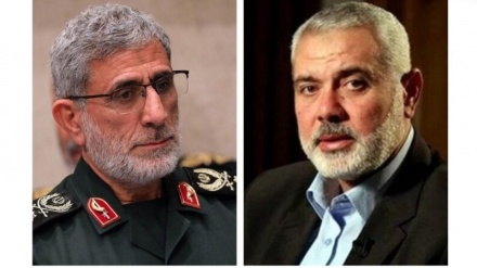 卡尼准将同哈尼耶通电话