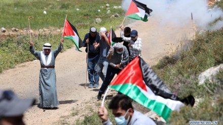 Dhjetëra palestinezë të plagosur në Bregun Perëndimor