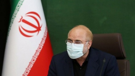 קליבאף : צריך לפעול פרלמנטרית להפסקת הפשעים הציונים