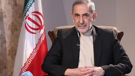 مشاور رهبر معظم انقلاب اسلامی: عامل بی ثباتی و ناامنی باید از منطقه خارج شود