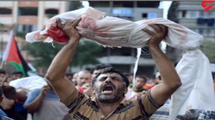 İşgal rejiminin Gazze'ye saldırılarında şehit sayısı 219'a yükseldi