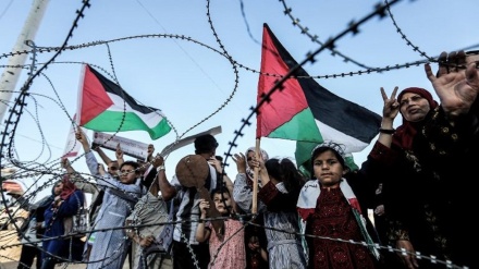 UK government has a moral blindspot over plight of Palestinians