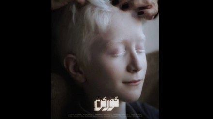 米・リバーサイド国際映画祭で、イラン映画が4つの賞を受賞