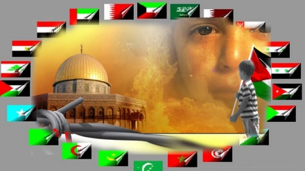 د قدس  او فلسطنیانو د فریاد په وړاندې د اسلامی امت او حکومتونو دنده څه ده ؟له شناندو ئې دلته آورو 