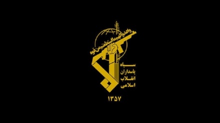 伊斯兰革命卫队发表声明感谢人民积极参加总统选举投票