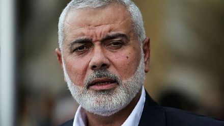 הנייה על דחיית הבחירות: על ישראל להפסיק לשחק באש