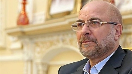 卡利巴夫祝贺巴勒斯坦人民取得胜利