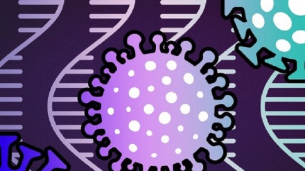 Covid, ottenuta la mappa genetica più completa del virus SarsCoV2