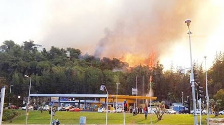 被占领巴勒斯坦本-古里安国际机场附近发生大火