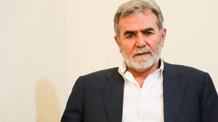 齐亚德·纳克哈拉：我们将继续保持抵抗