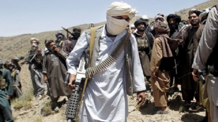 کشته شدن یکی از فرماندهان  طالبان  در  شمال افغانستان