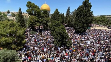 حضور ۵۰ هزار نمازگزار فلسطینی در نماز جمعه مسجدالاقصی